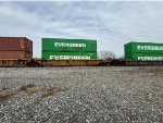 DTTX 781204